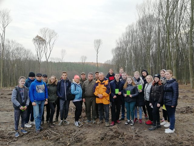 Нам усім потрібні ліси